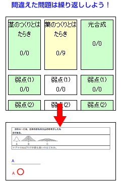 ԈႦ͌JԂ悤I